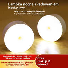 🏡💡【Kup 2, a 2 dostaniesz gratis】Inteligentne światło LED wykrywające obecność człowieka, łatwe w ładowaniu i praktyczne