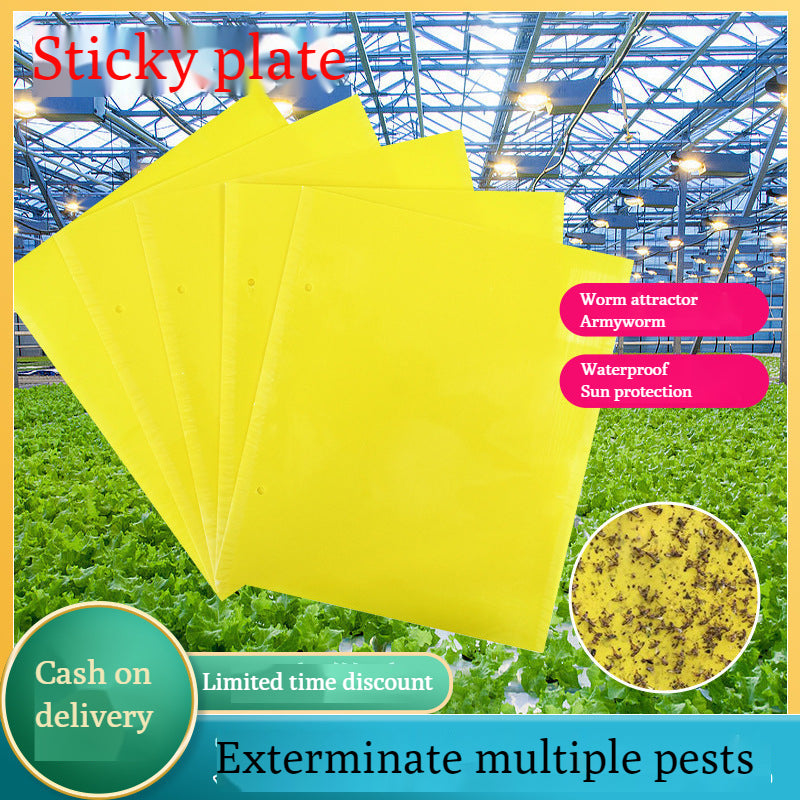 🔥【30 szt.】【Oferta ograniczona czasowo】💥Żółta dwustronna tablica zabezpieczająca przed owadami