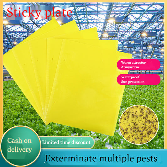 🔥【30 szt.】【Oferta ograniczona czasowo】💥Żółta dwustronna tablica zabezpieczająca przed owadami