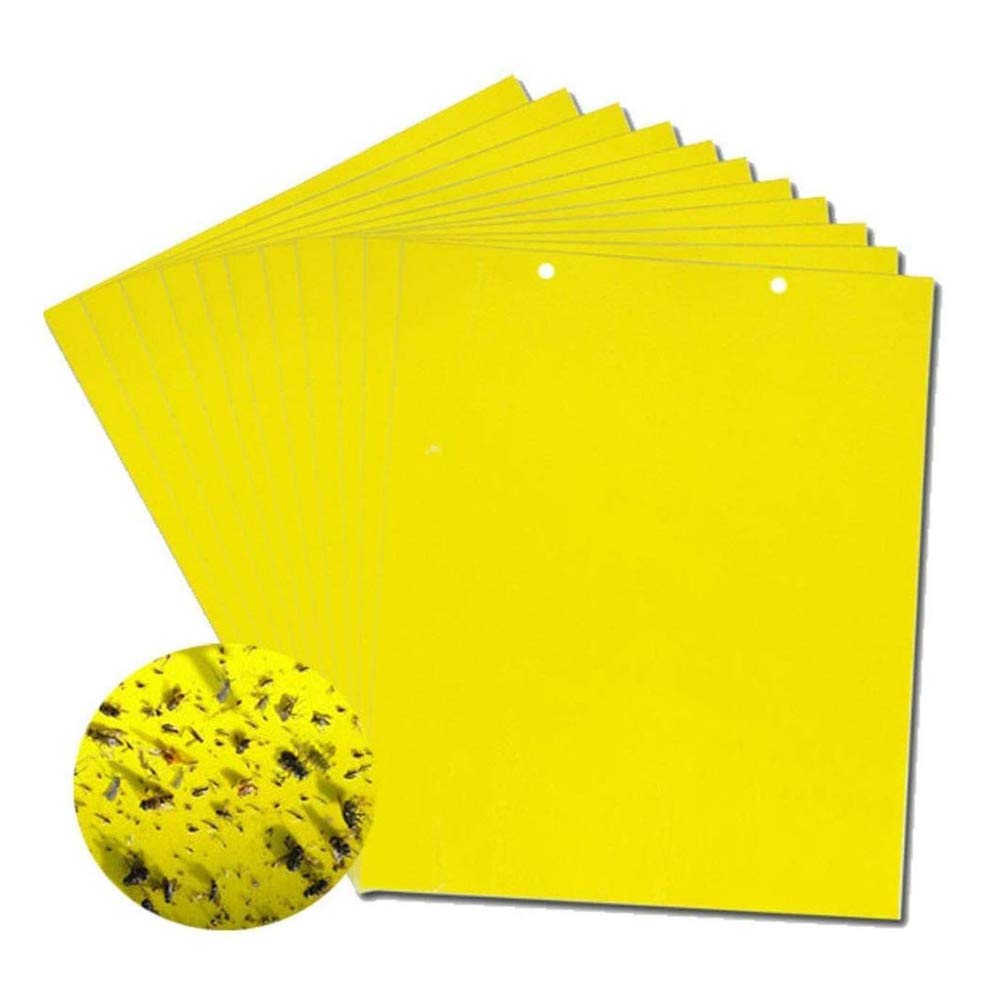 🔥【30 szt.】【Oferta ograniczona czasowo】💥Żółta dwustronna tablica zabezpieczająca przed owadami