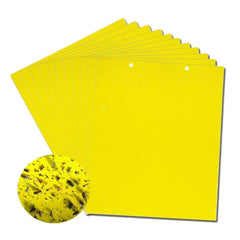 🔥【30 szt.】【Oferta ograniczona czasowo】💥Żółta dwustronna tablica zabezpieczająca przed owadami