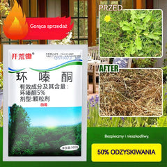 🔥【Gorąca wyprzedaż】👍🌱Herbicyd cyklazynonowy